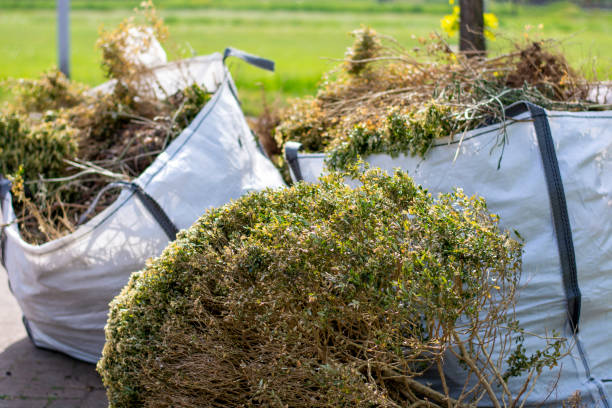 Best Office Cleanout  in Mascoutah, IL